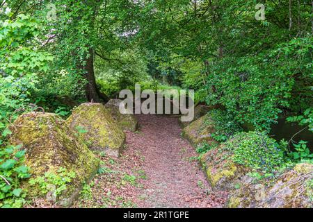 Panzerfallen aus dem Zweiten Weltkrieg auf dem Gelände der Waverley Abbey bei Farnham Surrey. Stockfoto