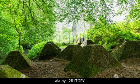 Panzerfallen aus dem Zweiten Weltkrieg auf dem Gelände der Waverley Abbey bei Farnham Surrey. Stockfoto