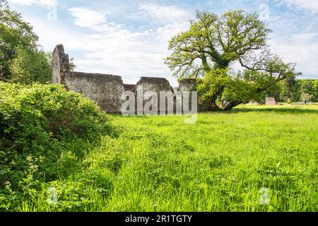 Ruinen der Waverley Abbey in der Nähe von Farnham in Surrey, der ersten Zisterzienserabtei, die 1128 in England erbaut wurde. Stockfoto