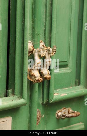 Türgriffe mit Delfinen an alten Holztüren, Altstadt, Lagos, Algarve, Portugal Stockfoto