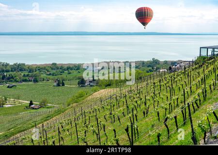 Heißluftballon über dem Plattensee in Ungarn. Stockfoto