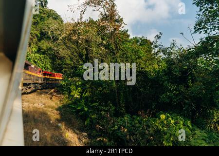 Der Güterzug fährt am Wald vorbei. Güterwagen mit Güterlieferung. Hochwertiges Foto Stockfoto