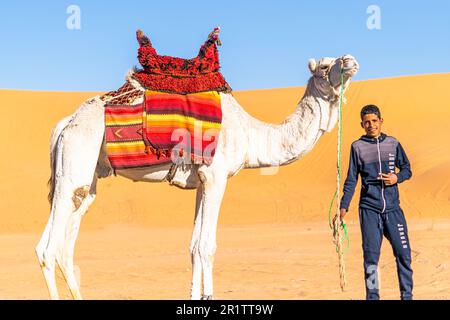 Junger tuareg-Mann, aufrecht stehend mit seinem weißen Dromedar-Kamel dekoriert mit rotem Stoffsattel in der Sahara mit Sanddünen und blauem Himmel. Stockfoto