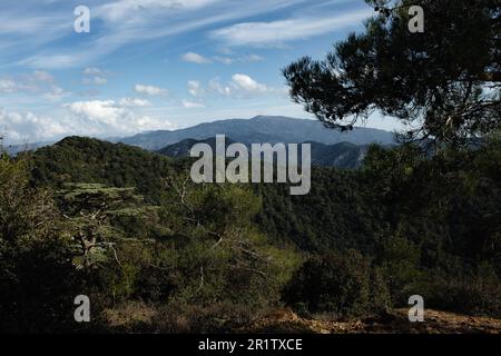 Blick vom Berg Tripylos mit Blick auf den Pafos (Paphos) Wald, Zypern Stockfoto