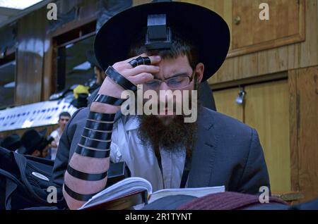 Religiöser jüdischer Mann betet mit Tefillin, Phyllakterien, im Hauptquartier von Lubavitch in Crown Heights, Brooklyn, New York. Stockfoto