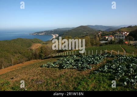 Die Stadt Guzelcehisar in Bartin, Türkei, ist ein wichtiger Ort für den Meerestourismus. Stockfoto