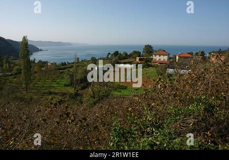 Die Stadt Guzelcehisar in Bartin, Türkei, ist ein wichtiger Ort für den Meerestourismus. Stockfoto