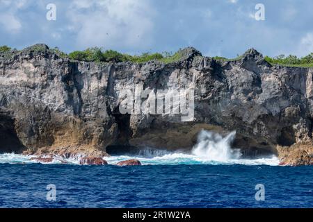 Britisches Überseegebiet, Pitcairn-Inseln, Henderson-Insel. Zerklüftete Küste mit einzigartigem Lebensraum für erhöhte Korallenatoll. UNESCO Stockfoto