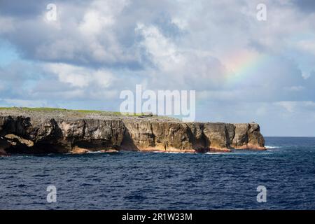 Britisches Überseegebiet, Pitcairn-Inseln, Henderson-Insel. Zerklüftete Küste mit einzigartigem Lebensraum für erhöhte Korallenatoll. UNESCO Stockfoto