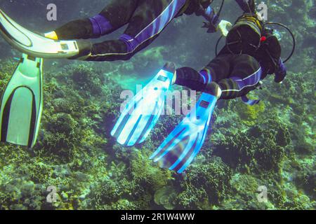 Unterwasserfoto - unbekannte Taucherin, die über dem Meeresboden mit Korallen schwimmt, Instrukteur in der Nähe ihres Sauerstofftanks, Blick von hinten auf Fi Stockfoto