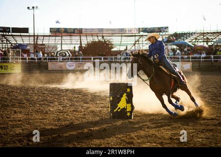 Cowboys, während der Rodeo-Strecke auf der Expo Ganadera de Sonora am 13. Mai 2023 in Hermosillo, Mexiko. Cowboy-Sport, Reiten und Bullenreiten, Strong Circuit in Chihuahua, gefolgt von Sonora und Baja California Mex. Und benachbarte US-Staaten. Rodeo ist ein traditioneller amerikanischer Extremsport, der von der Geschichte spanischer Cowboys und mexikanischer Charros beeinflusst wurde. Reiten ohne Sattel, wilde Ponys, wilde Rinder, Ochsen, Bullen, Lasso werfen, Stierkampf. (© Photo by Luis Gutiérrez /Norte Photo) Vaqueros, durante el circuito de Rodeo en la Expo Ganadera de Sonora, el 13 mayo de 2023 en Hermosillo, Stockfoto