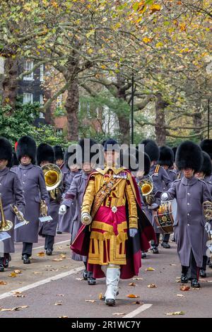 Guards Drum Major leitet die Massed Bands der Guards Division, Birdcage Walk, London, Großbritannien Stockfoto