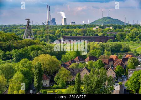 Blick von der Rungenberg-Sklagheap über den Bezirk Buer, Scholven Slagheap, Ruhr Oel GmbH - BP Gelsenkirchen-Werk, Hugo-Kohleschacht 2, früher Stockfoto