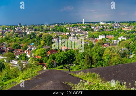 Blick von der Slagheap Rungenberg über Gelsenkirchen, Richtung Norden, Bezirk Buer, Rathausturm, NRW, Deutschland Stockfoto