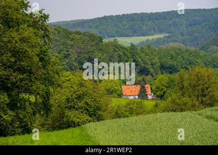 Wohnhaus, Fachwerkhaus, Elfringhauser Schweiz, auf Schanzerweg, Hattingen, NRW, Deutschland Stockfoto