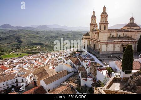 Die Marionette der Inkarnation Kirche, umgeben von Olivenhainen und dominiert die Stadt Pueblo Blanco in Olvera, Spanien. Die Pfarrkirche wurde 1822 erbaut, aber das Dorf stammt aus dem 3. Jahrhundert v. Chr Stockfoto