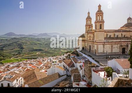 Die Marionette der Inkarnation Kirche, umgeben von Olivenhainen und dominiert die Stadt Pueblo Blanco in Olvera, Spanien. Die Pfarrkirche wurde 1822 erbaut, aber das Dorf stammt aus dem 3. Jahrhundert v. Chr Stockfoto