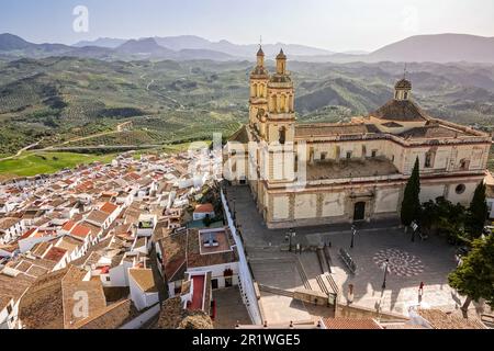 Die Marionette der Inkarnation Kirche, umgeben von Olivenhainen und dominiert die Stadt Pueblo Blanco in Olvera, Spanien. Die Pfarrkirche wurde 1822 erbaut, aber das Dorf stammt aus dem 3. Jahrhundert v. Chr Stockfoto