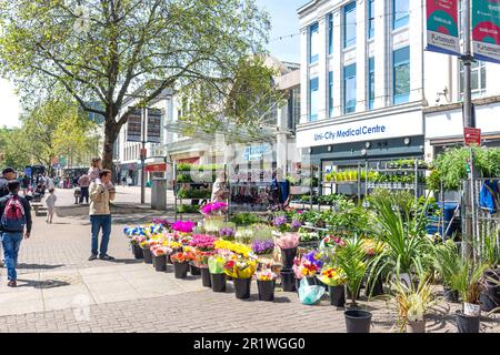 Flower Stall, Commercial Road, Portsmouth, Hampshire, England, Vereinigtes Königreich Stockfoto