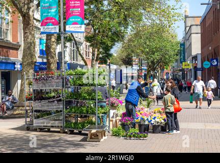 Flower Stall, Commercial Road, Portsmouth, Hampshire, England, Vereinigtes Königreich Stockfoto