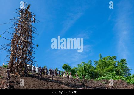 Vanuatu, Pfingstinsel. Uraltes Ritual des Tauchens an Land. Stockfoto