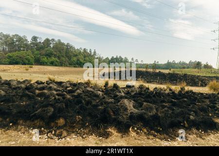 Verbrannte Erde und verbranntes Grasland nach Sommerbränden. Hochwertiges Foto Stockfoto