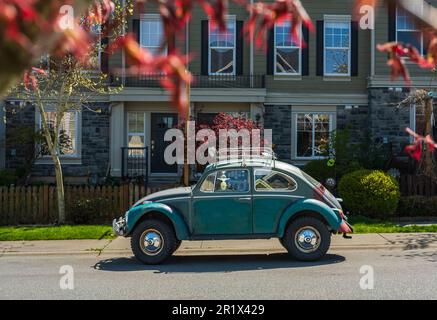 Ein alter deutscher Volkswagen-Käfer, der an einer Straße geparkt hat. VW Beetle in Blue die Cast Modell-Vancouver Kanada-April 28,2023. Straßenfoto, niemand Stockfoto