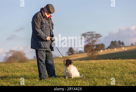 Der Rentner trainiert seinen Hund auf einem Spaziergang in der Natur Stockfoto