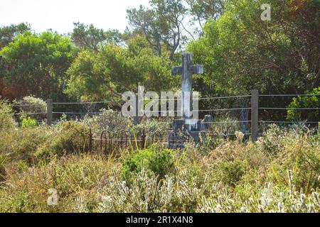 Gräber auf dem dritten Quarantäne-Friedhof am nördlichen Kopf des Hafens von Sydney in Australien Stockfoto