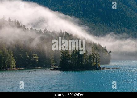 Morgennebel entlang der Inside Passage Bootstour zwischen Prince Rupert und Port Hardy, British Columbia, Kanada. Stockfoto