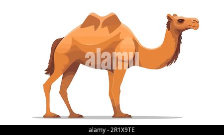 Cartoon-Kamel im flachen Stil isoliert auf weißem Hintergrund. Stock Vektor