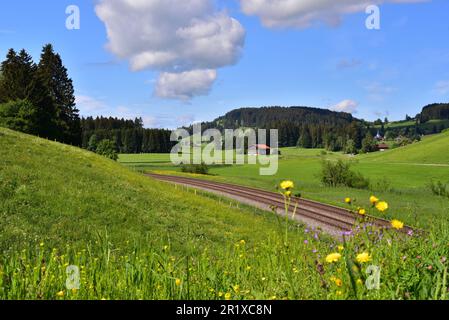 Nicht elektrifizierte Eisenbahnstrecke im Allgäu bei Oberstaufen, Bayern, Deutschland, Europa Stockfoto