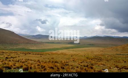 In den weiten, offenen Gebieten im Norden Ecuadors ist die Páramo ein alpines Tundra-Ökosystem in den Anden. Die Pflanzen sind größtenteils Sträucher und Gräser. Stockfoto