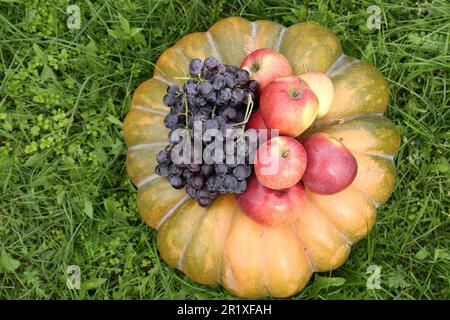 Reifer Kürbis, Trauben und Äpfel auf grünem Gras, Draufsicht. Herbsternte Stockfoto