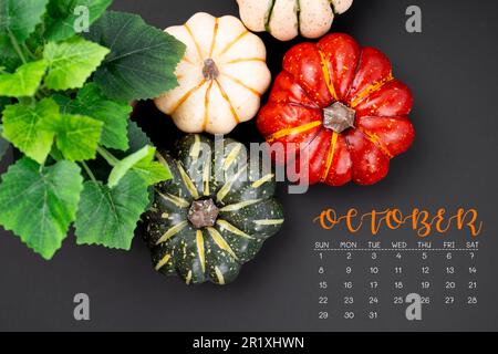 Oktober 2023 Kalender und Kürbisse auf schwarzem Hintergrund. Stockfoto