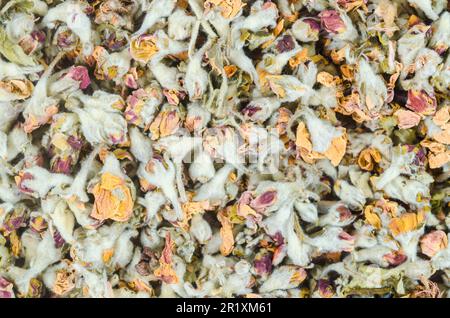 Blumentee. Getrocknet von Apfelblüten strukturiert. Stockfoto