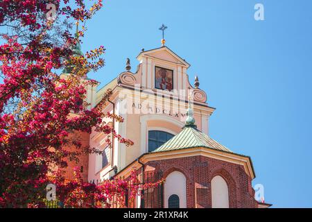 Katholische Kirche St. Anna in Warschau. Blick von der Ostseite, blühendes Flieder im Hintergrund Stockfoto