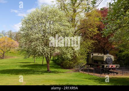 The Fife Coal Company Locomotive in Pittencrieff Park, Dunfermline, Fife, Schottland Stockfoto