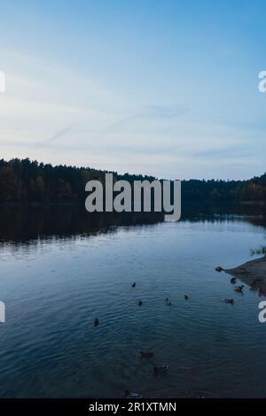 Atemberaubend schöner See in der goldenen Herbstsaison. Magische mehrfarbige Reflexion mit leichten Wellen auf der Oberfläche des Wasserfalles am Abend. Herbstlandschaft farbenfrohe Herbstwälder mit leuchtend gelbroten, orangefarbenen und grünen Baumblättern, die sich in einer stillen Wasseroberfläche des Sees spiegeln Stockfoto