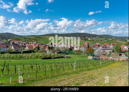 Blick auf das Dorf mit St. Dionysius-Kapelle, Gleiszellen-Gleishorbach, Pfalz, Rheinland-Pfalz, Deutschland, Europa Stockfoto