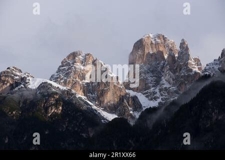 Panorami delle montagne e boschi delle dolomiti all'alba con nuvole Stockfoto