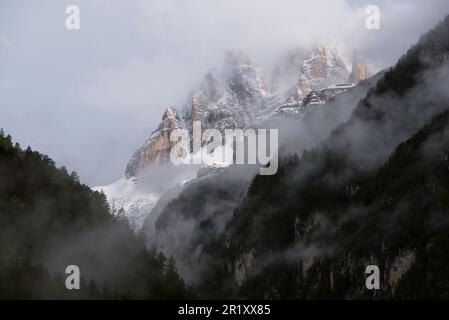 Panorami delle montagne e boschi delle dolomiti all'alba con nuvole Stockfoto