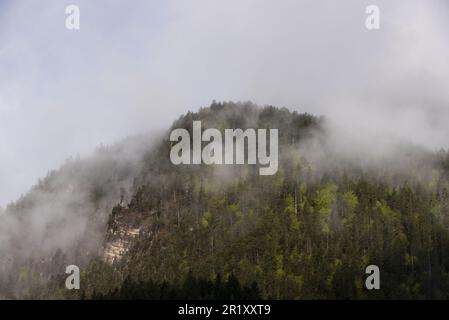 Panorami delle montagne e boschi delle dolomiti all'alba con nuvole Stockfoto