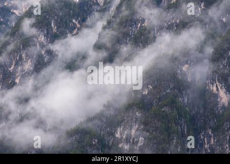 Panorami delle montagne e boschi delle dolomiti all'alba con nuvole Stockfoto