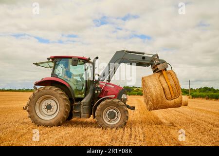 Heu, Landwirtschaft und ein roter Traktor auf einem Hof für Nachhaltigkeit im Freien auf offenem Feld während der Erntesaison. Natur, Himmel und Wolken mit einem Stockfoto