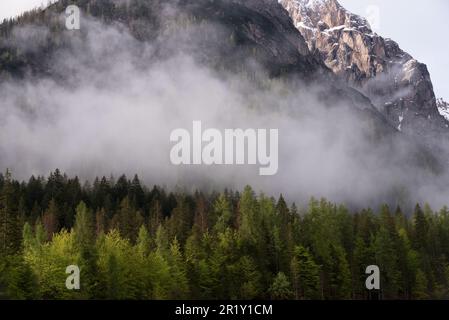 Panorami delle montagne e boschi delle dolomiti all'alba con nuvole Stockfoto