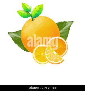 Frische und saftige Orange mit Scheiben auf weißem Hintergrund - Zitrusfrüchte, Vitamin C, gesunde Lebensmittel Stock Vektor
