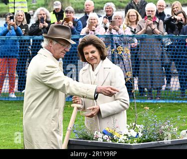 Kalmar, Schweden. 16. Mai 2023. Der schwedische König Carl XVI. Gustaf und Königin Silvia pflanzten eine Eiche während des königlichen Besuchs in Kalmar, Schweden, am 16. Mai 2023 anlässlich des 50. Jubiläums des Königs. Foto: Jonas Ekströmer/TT/Code 10030 Kredit: TT News Agency/Alamy Live News Stockfoto