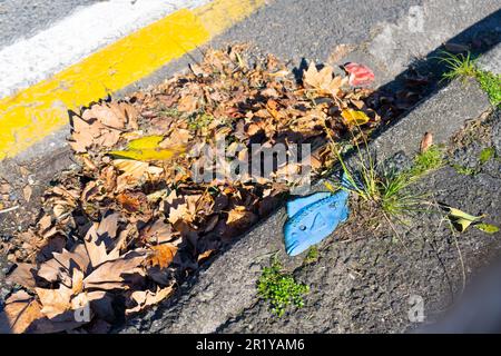 Blockierter Sturmwasserabfluss nach Sturm in der Tauranga Straße. Stockfoto