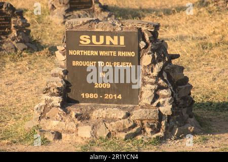 Grab des nördlichen weißen Nashorns der Suni. Ol Pejeta Conservancy. Laikipia Plateau, Kenia, Afrika, Rhino-Friedhof, Nashorn-Grabsteine, die die Tierwelt markieren Stockfoto